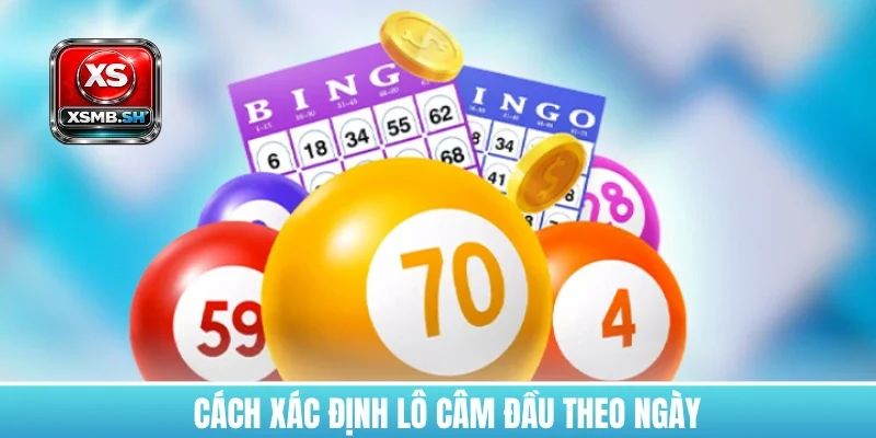 thong-ke-lo-cam-dau-xac-dinh-theo-ngay