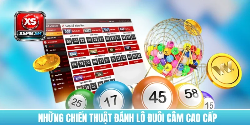 thong-ke-lo-cam-duoi-cao-cap