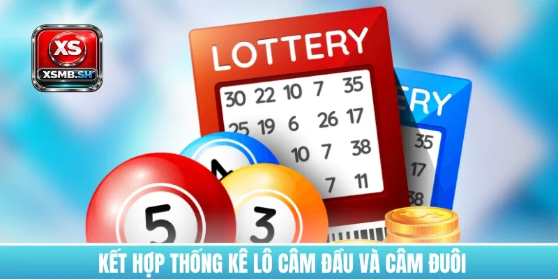 thong-ke-lo-cam-duoi-va-cam-dau